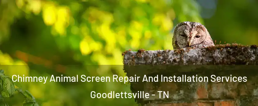  Chimney Animal Screen Repair And Installation Services Goodlettsville - TN