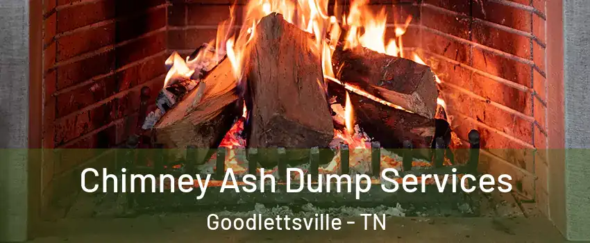  Chimney Ash Dump Services Goodlettsville - TN