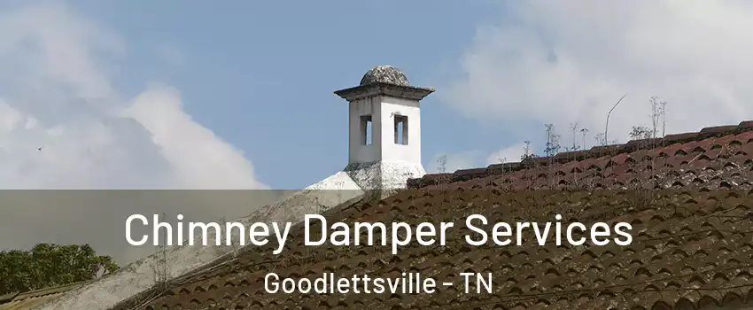  Chimney Damper Services Goodlettsville - TN