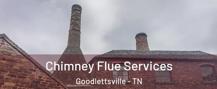  Chimney Flue Services Goodlettsville - TN