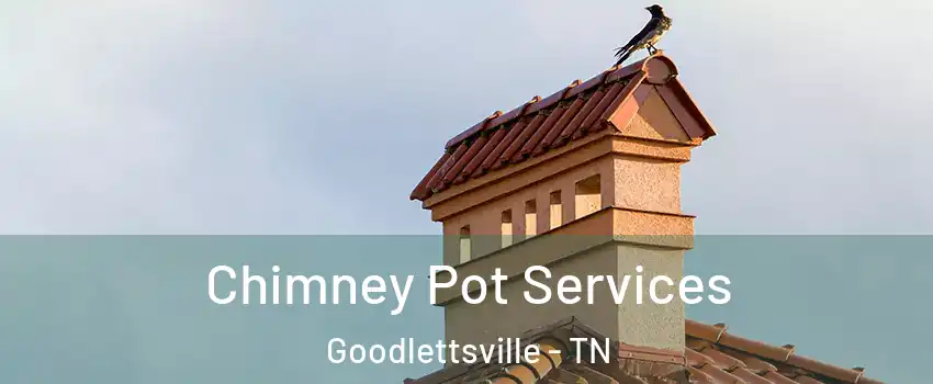  Chimney Pot Services Goodlettsville - TN