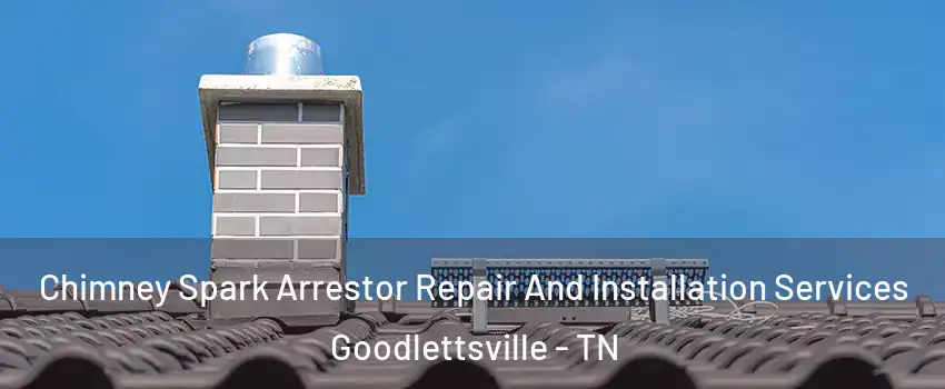  Chimney Spark Arrestor Repair And Installation Services Goodlettsville - TN