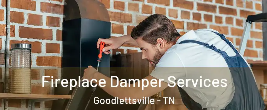  Fireplace Damper Services Goodlettsville - TN