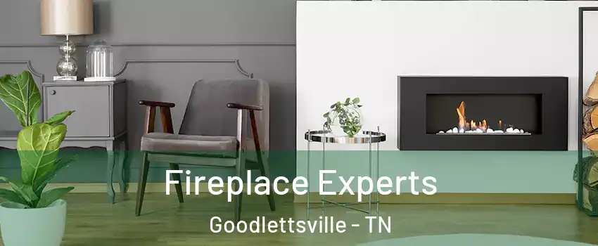  Fireplace Experts Goodlettsville - TN