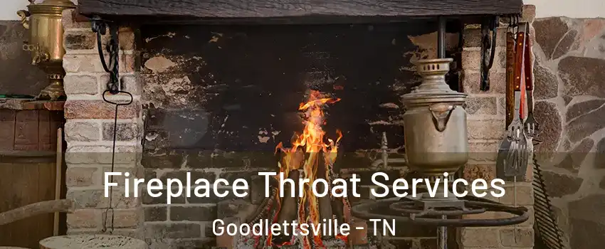  Fireplace Throat Services Goodlettsville - TN