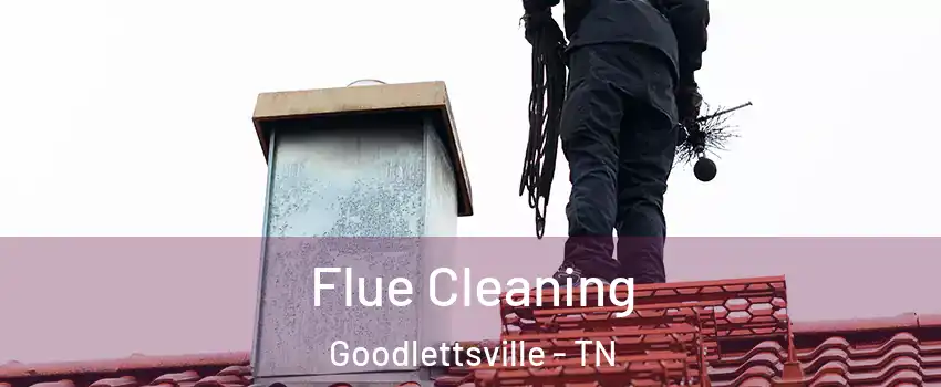  Flue Cleaning Goodlettsville - TN