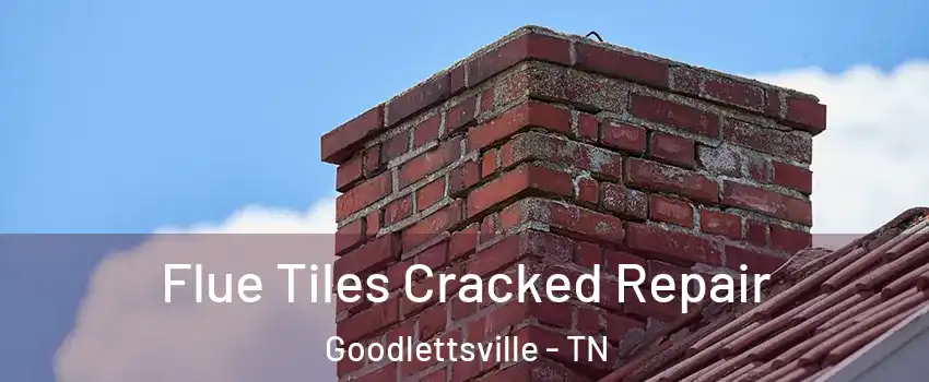  Flue Tiles Cracked Repair Goodlettsville - TN