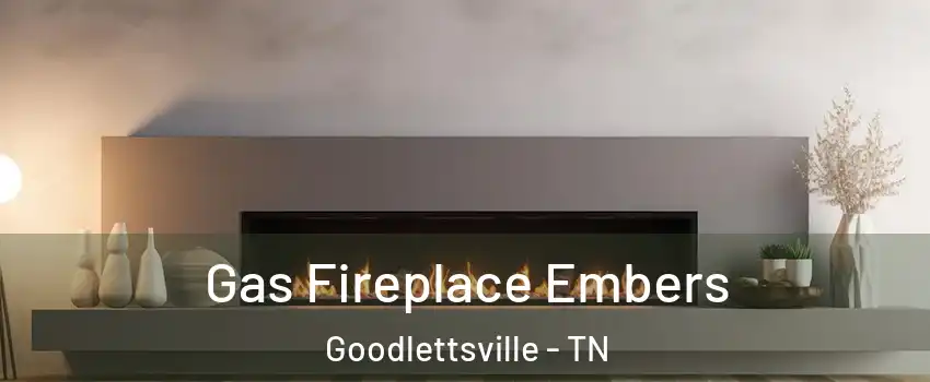  Gas Fireplace Embers Goodlettsville - TN