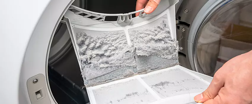 Best Dryer Lint Removal Company in Goodlettsville, Tennessee