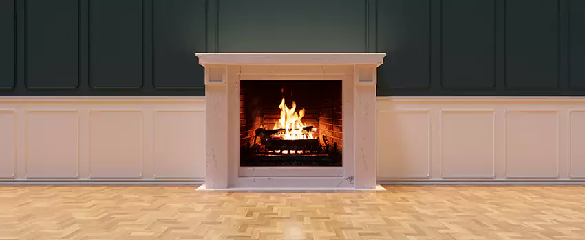 Napoleon Electric Fireplaces Inspection Service in Goodlettsville, Tennessee
