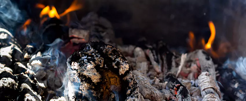 Creosote Removal Experts in Goodlettsville, TN