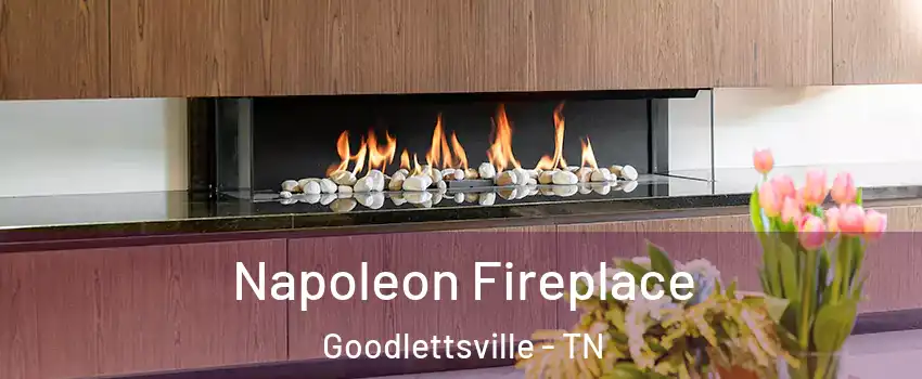  Napoleon Fireplace Goodlettsville - TN