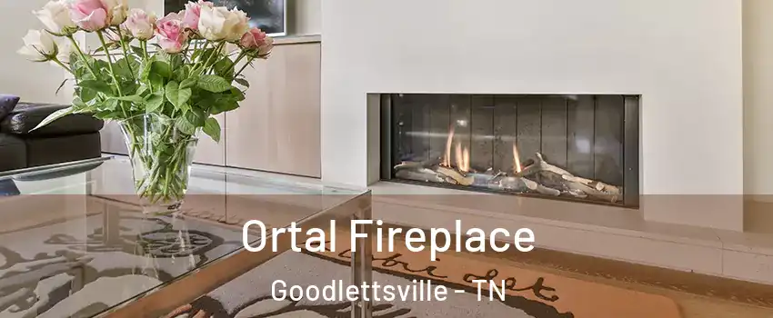  Ortal Fireplace Goodlettsville - TN
